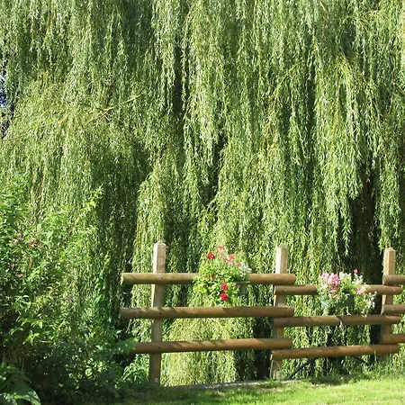 Moulin De La Fosse Soucy 