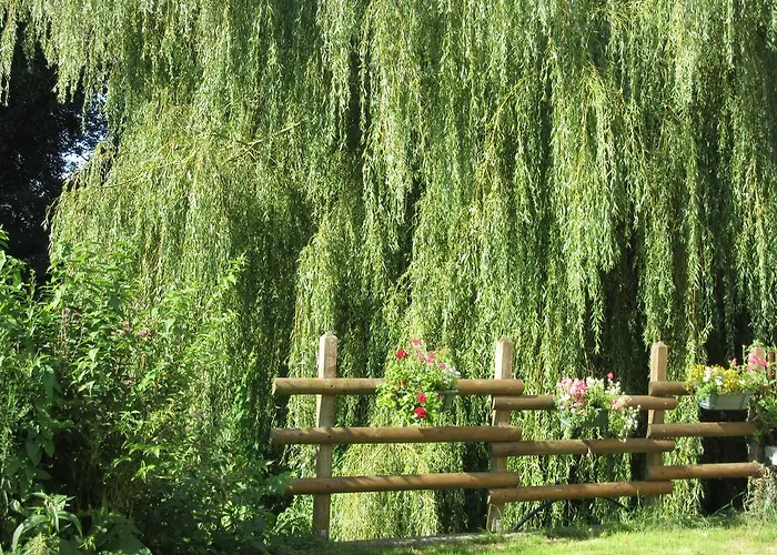 Moulin De La Fosse Soucy 