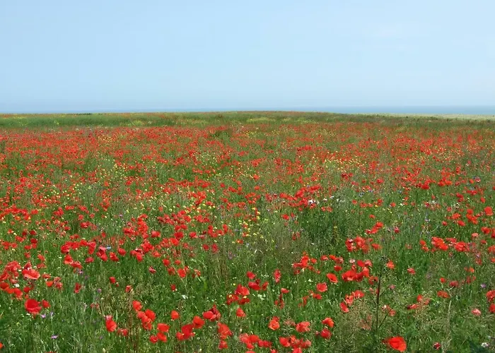 Moulin De La Fosse Soucy 