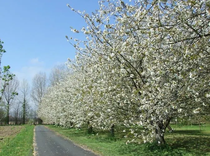Moulin De La Fosse Soucy 